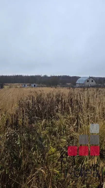 Продается участок в д. Расловлево - Фото 2