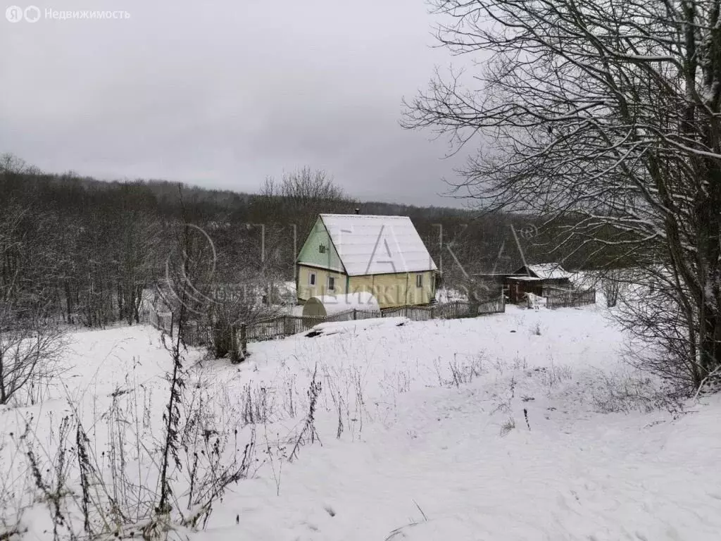 Дом в Бокситогорский район, Самойловское сельское поселение, деревня ... - Фото 1