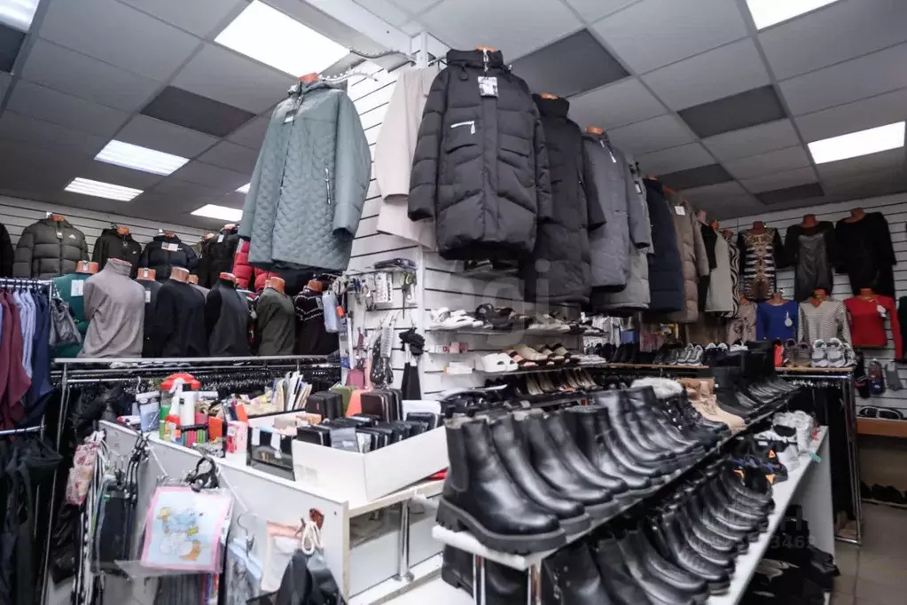 Торговая площадь в Тверская область, Тверь просп. Ленина, 30 (73 м) - Фото 2