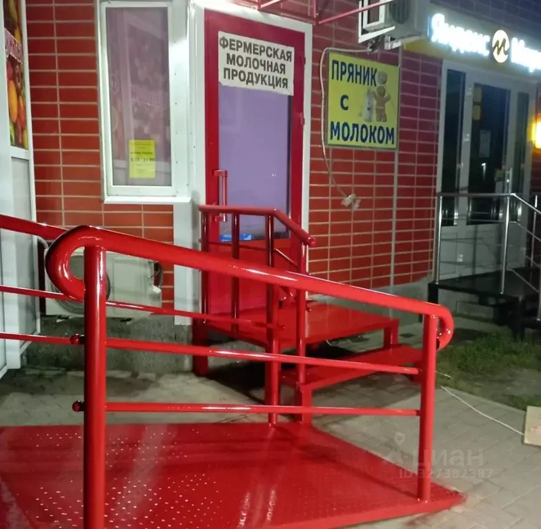 Торговая площадь в Воронежская область, Новоусманский район, пос. ... - Фото 1