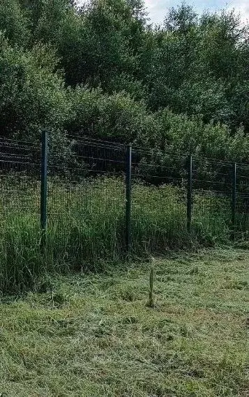 Участок в Московская область, Волоколамский муниципальный округ, ... - Фото 2