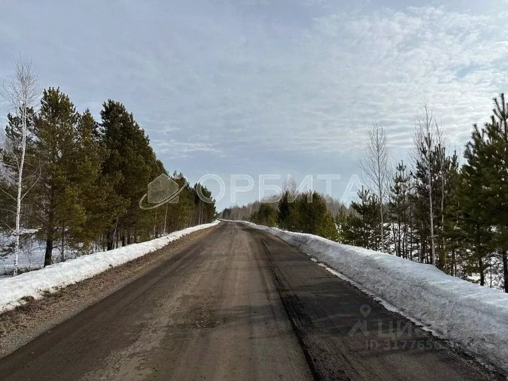 Участок в Тюменская область, Тюменский район, с. Каменка  (8.0 сот.) - Фото 0