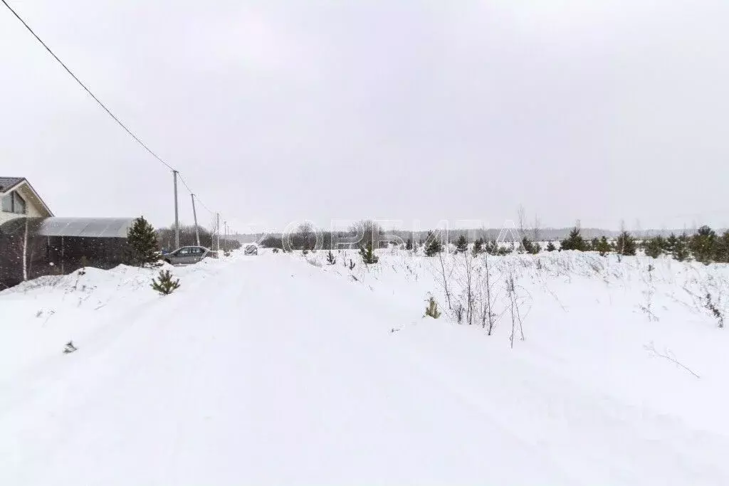 Участок в Тюменская область, Тюменский район, д. Малиновка ул. ... - Фото 1