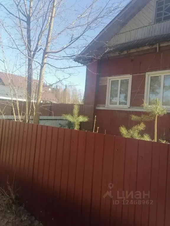 Дом в Новгородская область, Пестово ул. Некрасова, 19 (43 м) - Фото 0