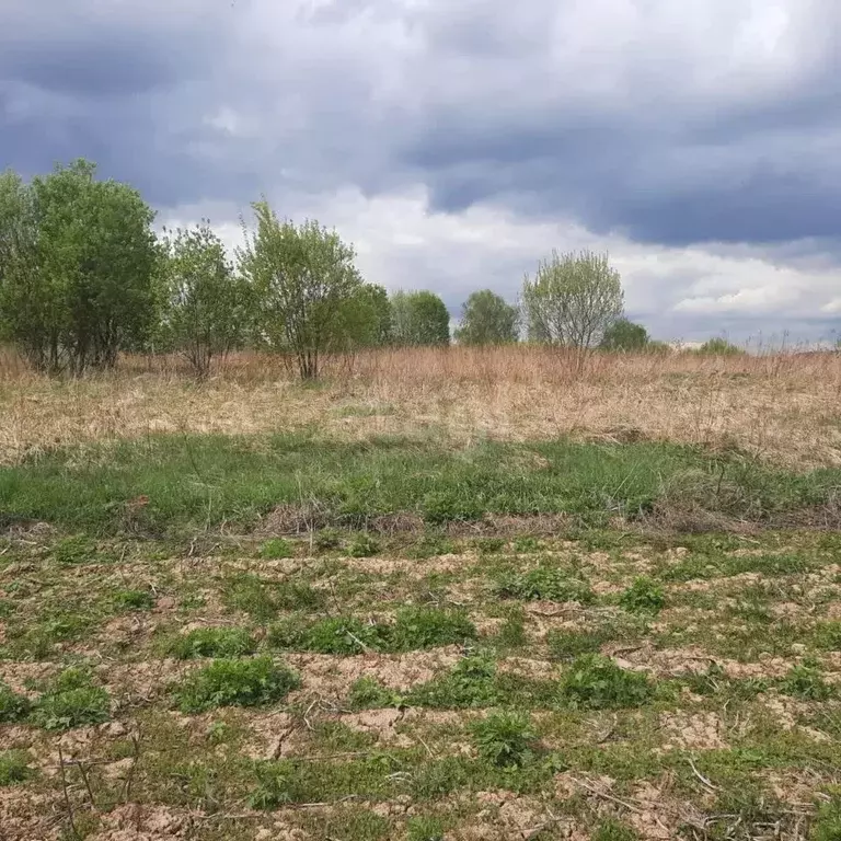 Участок в Калужская область, Тарусский район, Лопатино с/пос, с. ... - Фото 2