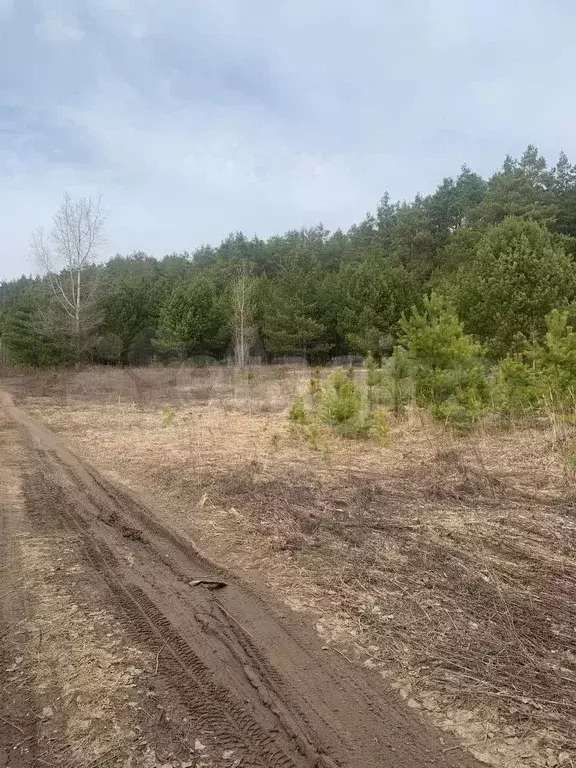 Участок 6 сот. (СНТ, ДНП) - Фото 1