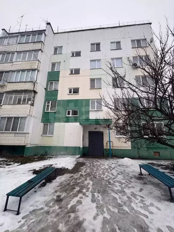 4-к кв. Белгородская область, Новый Оскол Ливенская ул., 130 (73.0 м) - Фото 2