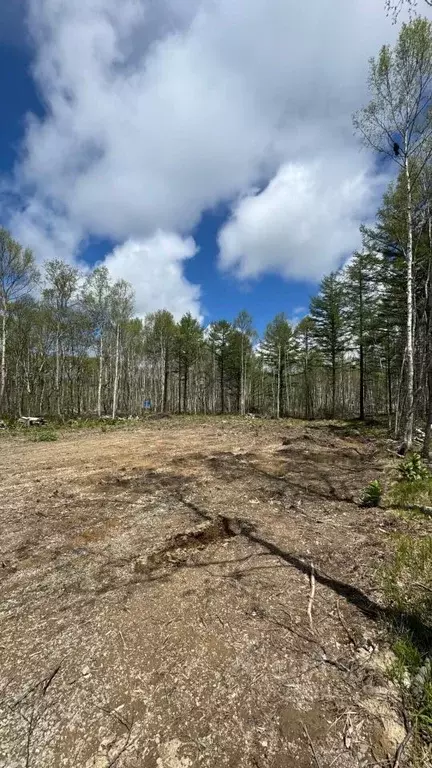 Участок в Сахалинская область, Южно-Сахалинск ул. Ленина (8.43 сот.) - Фото 2