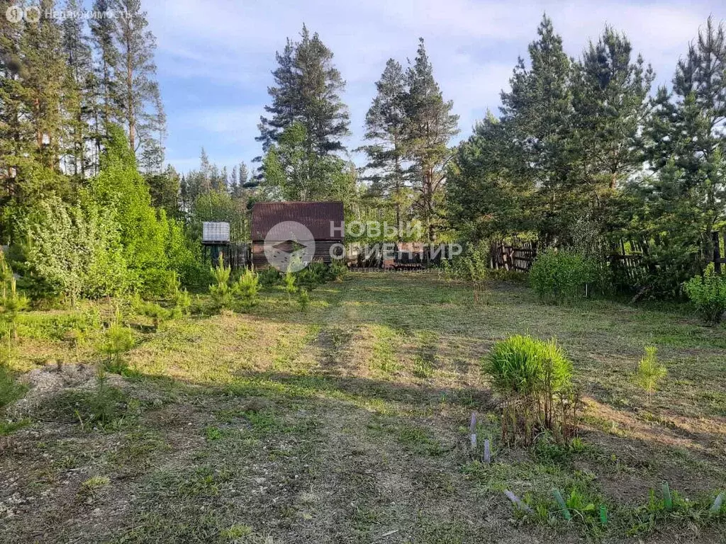 Участок в Екатеринбург, коллективный сад Луч ТОО Горнощитское, 49 ... - Фото 1