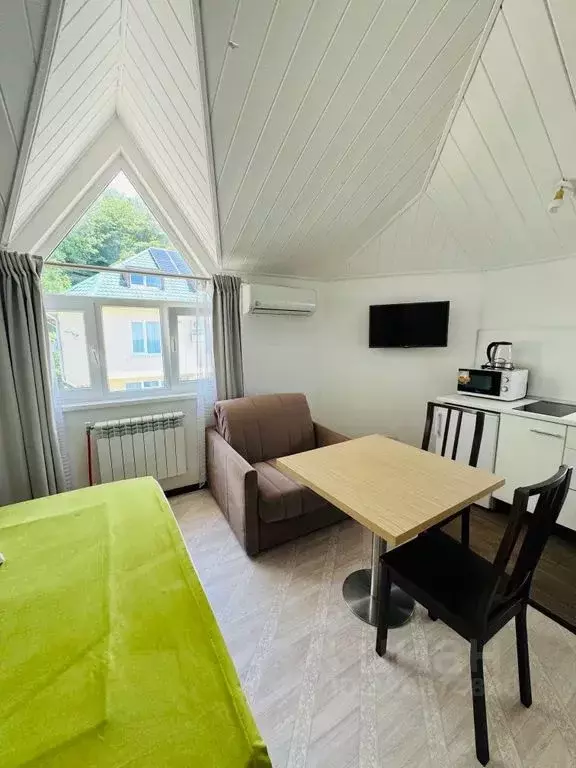 Студия Краснодарский край, Сочи Курортный просп., 111/5к10 (24.0 м) - Фото 2