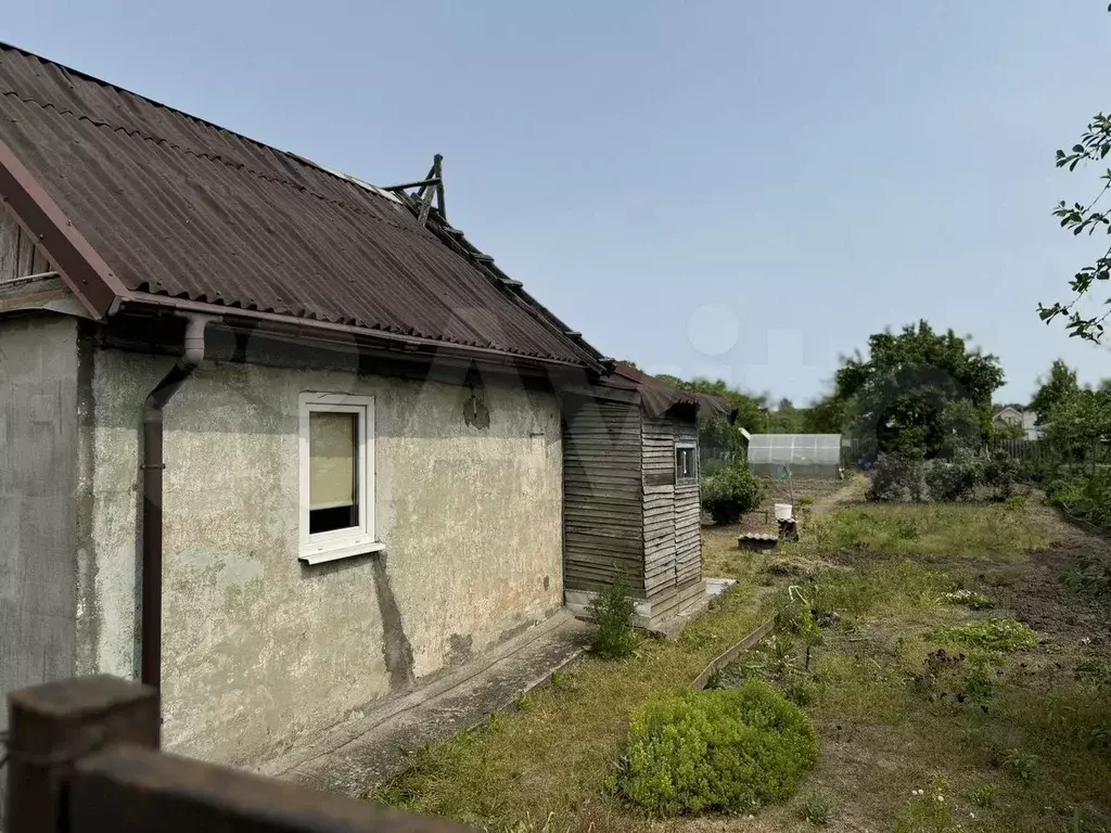 Участок 6 сот. (СНТ, ДНП) - Фото 1