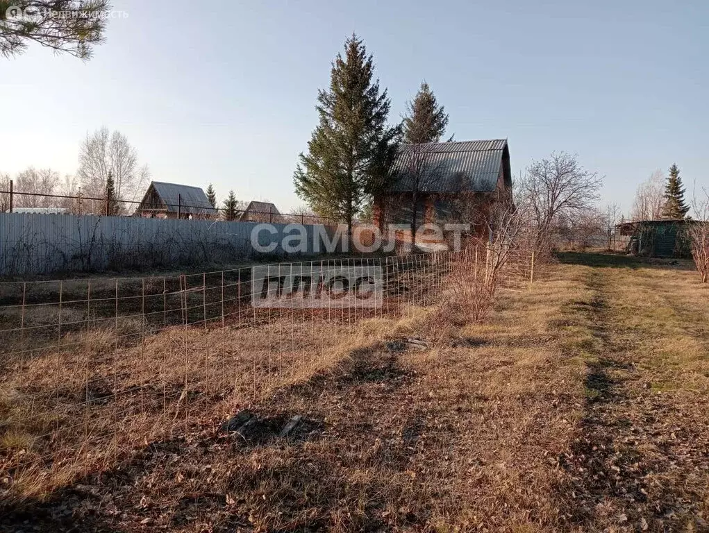 Дом в Омский район, село Богословка (36 м) - Фото 0