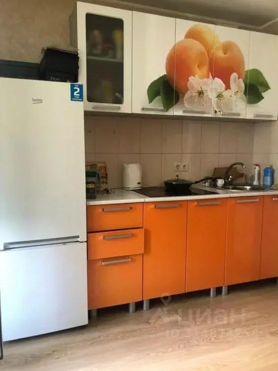 1-к кв. Омская область, Омск ул. Конева, 44 (33.0 м) - Фото 1