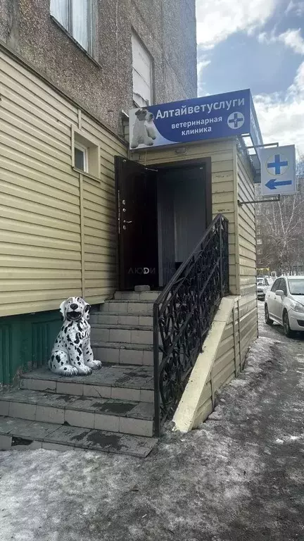 Помещение свободного назначения в Алтайский край, Барнаул ул. Гущина, ... - Фото 1