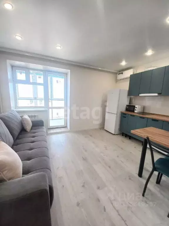 Студия Амурская область, Благовещенский район, с. Чигири ул. ... - Фото 2