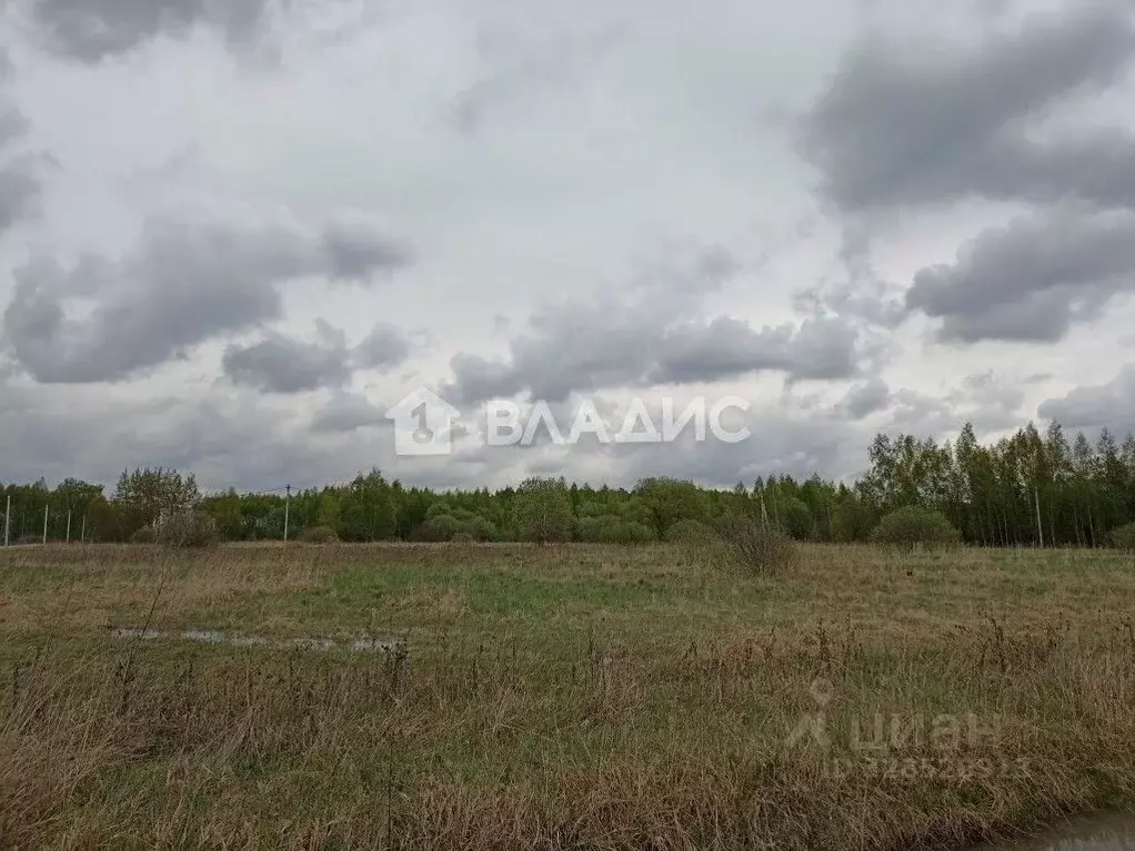 Участок в Московская область, Раменский муниципальный округ, с. ... - Фото 2