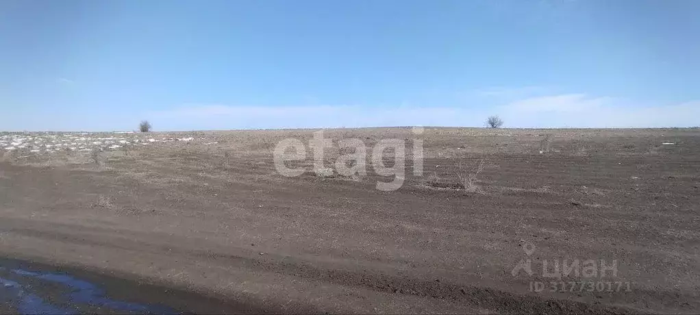 Участок в Крым, Симферопольский район, с. Урожайное, Аэрофлот ТСН  ... - Фото 1