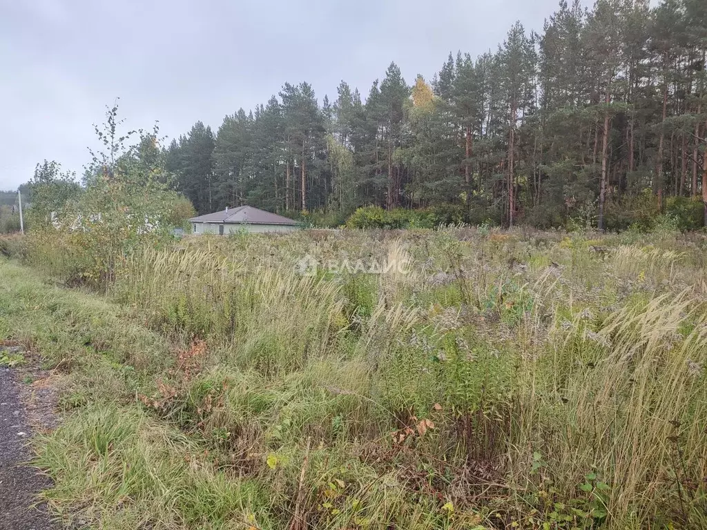 Участок в Нижегородская область, Богородский муниципальный округ, с. ... - Фото 2