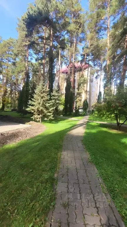 1-к кв. Алтайский край, Барнаул тракт Змеиногорский, 71Ак4 (52.9 м) - Фото 1