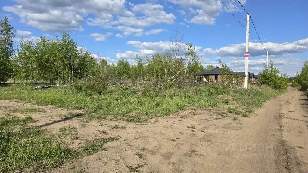 Участок в Воронежская область, Рамонский район, Новоживотинновское ... - Фото 2