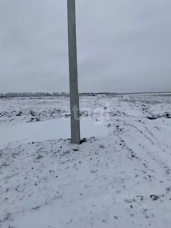 Участок в Белгородская область, Белгородский район, Головинское с/пос, ... - Фото 1