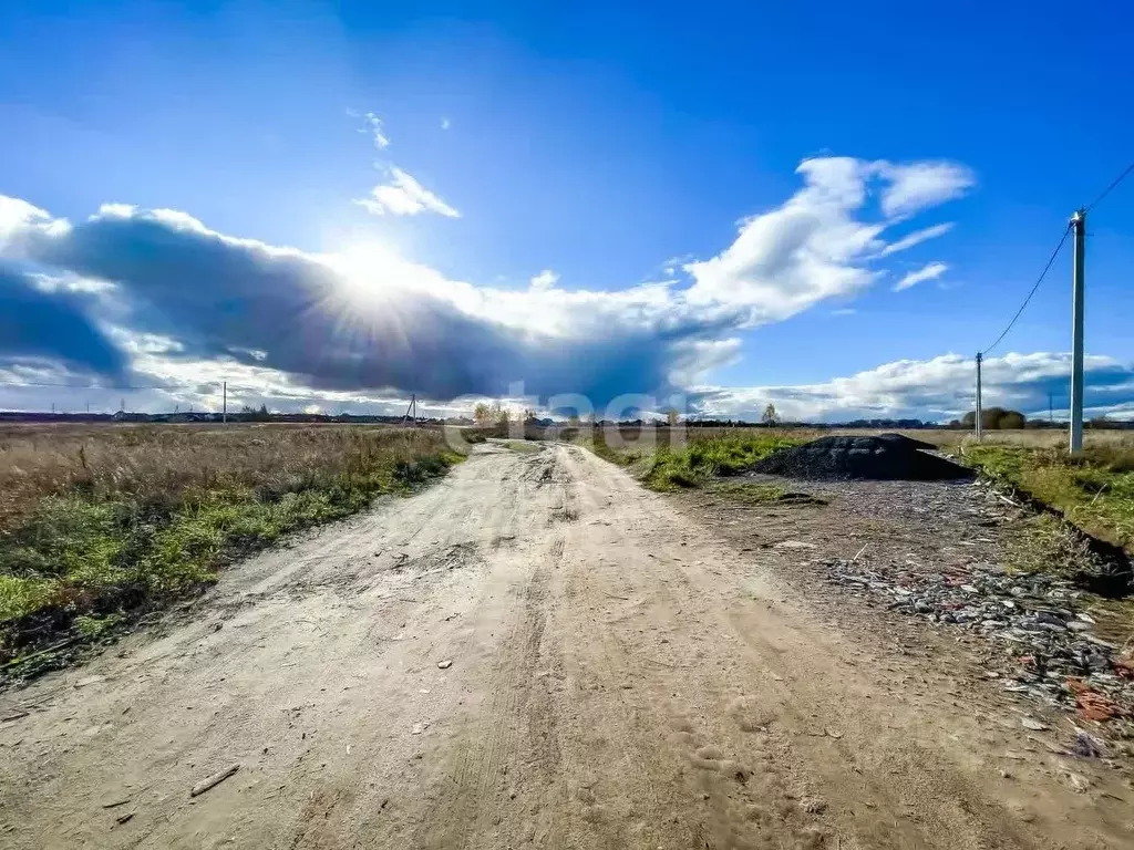 Участок в Ленинградская область, Ломоносовский район, Горбунковское ... - Фото 1