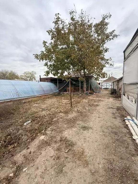 Дом в Ростовская область, Октябрьский район, Кривянское с/пос, ... - Фото 1