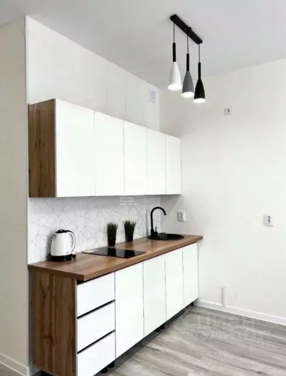 Студия Ленинградская область, Всеволожский район, пос. Бугры ул. ... - Фото 2