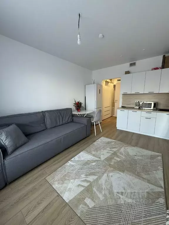 Студия Москва ул. Трехполье, 6к1 (21.0 м) - Фото 1