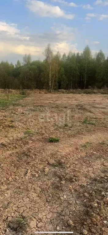 Участок 7,8 сот. (ИЖС) - Фото 0