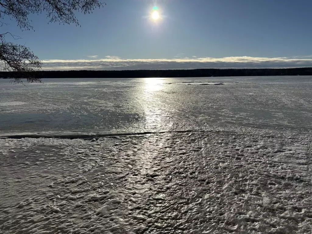 Участок в Ленинградская область, Выборгский район, Полянское с/пос, ... - Фото 2