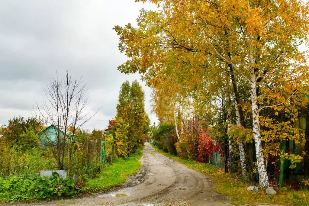 Участок в Новосибирская область, Новосибирский район, Кудряшовский ... - Фото 0