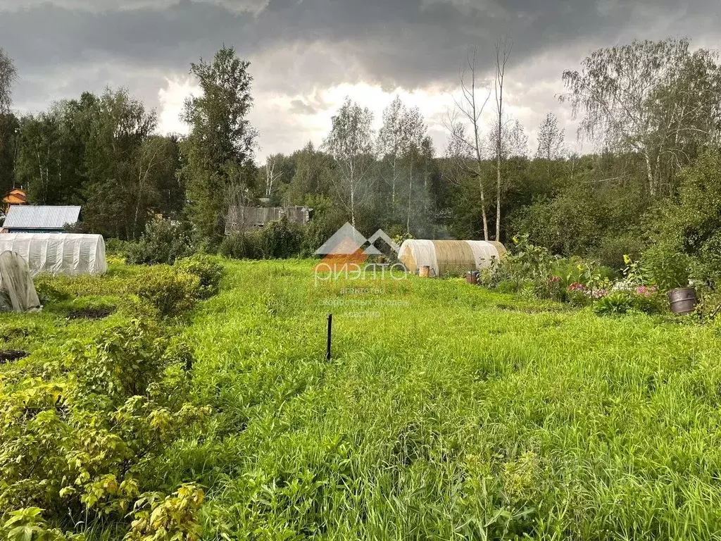 Участок в Новосибирская область, Новосибирск Заря садовое ... - Фото 1