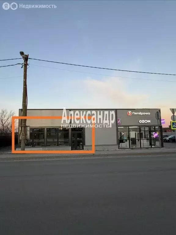 Торговая площадь (49 м) - Фото 1