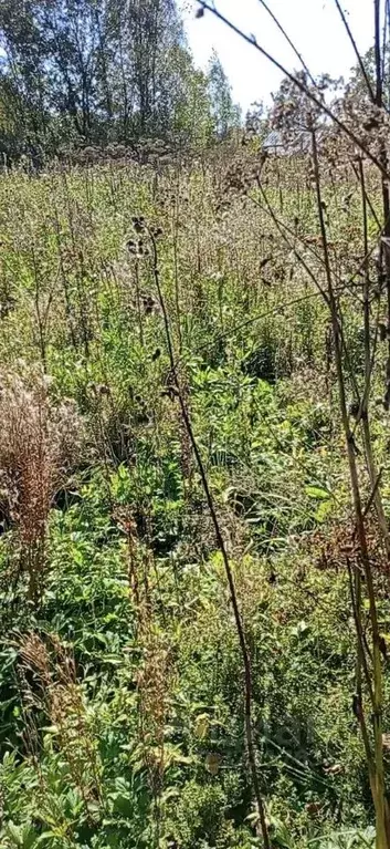 Участок в Московская область, Орехово-Зуевский городской округ, д. ... - Фото 2