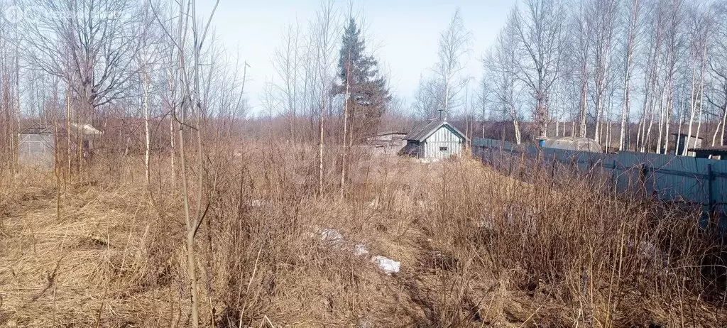 Участок в Волховский район, Свирицкое сельское поселение, посёлок ... - Фото 2