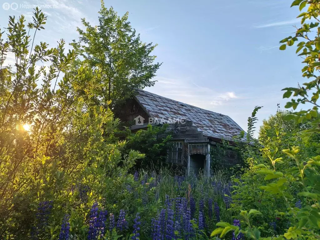 Дом в посёлок Красная Горбатка, Ковровская улица, 31 (52 м) - Фото 1