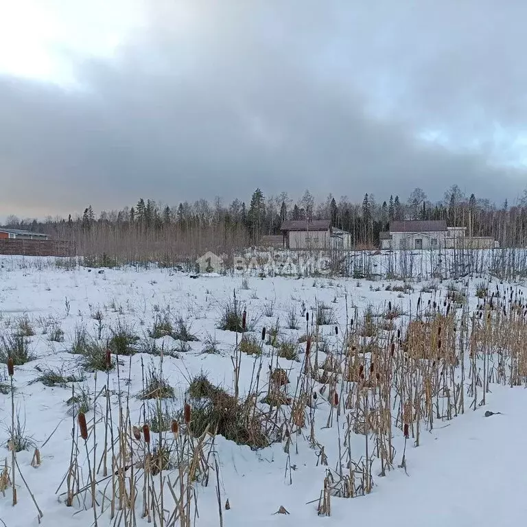 Участок в Петрозаводск, Севастопольский проезд (16.67 м) - Фото 1