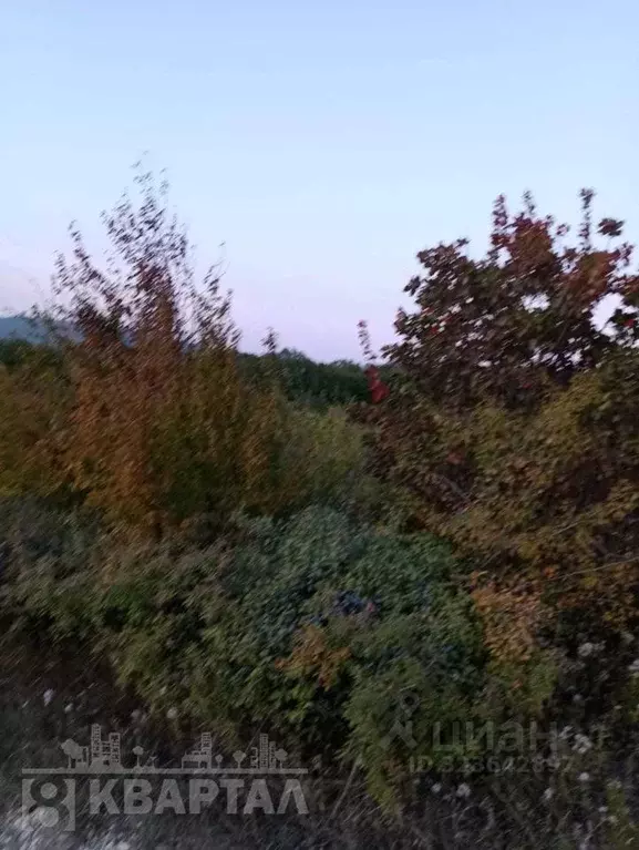 Участок в Краснодарский край, Новороссийск городской округ, пос. ... - Фото 2