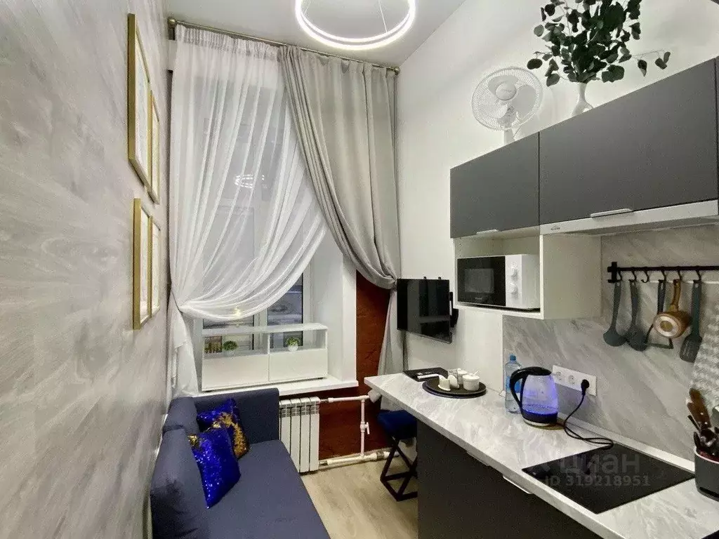 1-к кв. Санкт-Петербург ул. Рубинштейна, 23 (16.0 м) - Фото 1