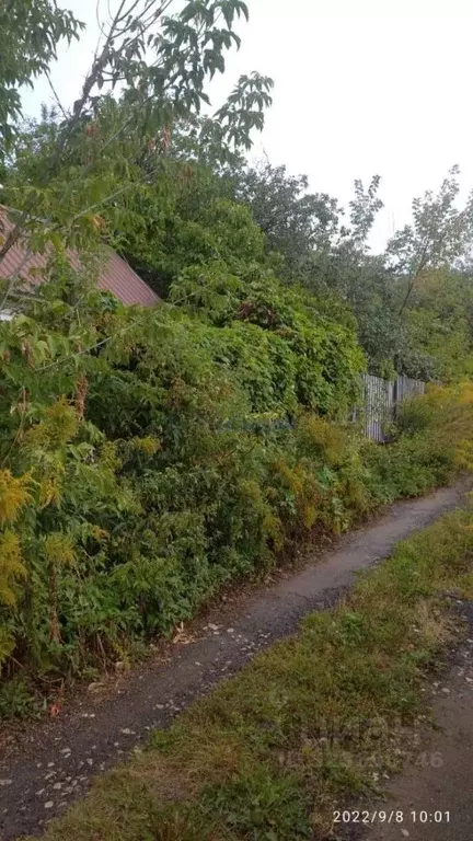 Участок в Нижегородская область, Нижний Новгород Деловая ул., 40 (8.1 ... - Фото 2