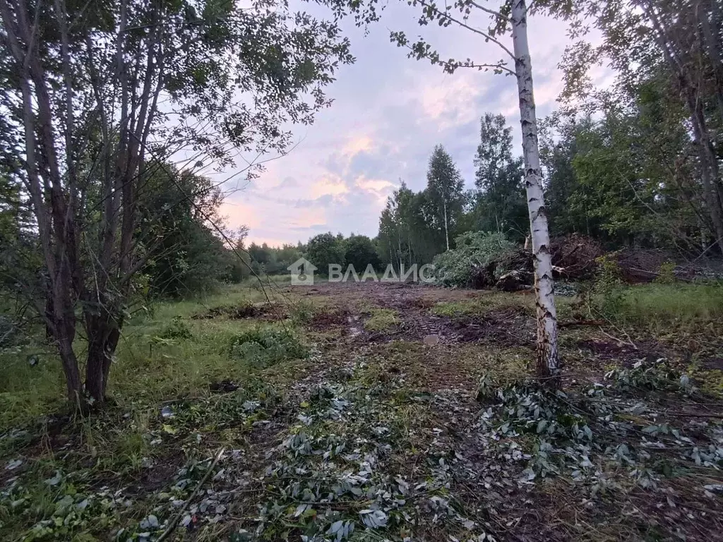Участок в Владимирская область, Суздальский район, Новоалександровское ... - Фото 0