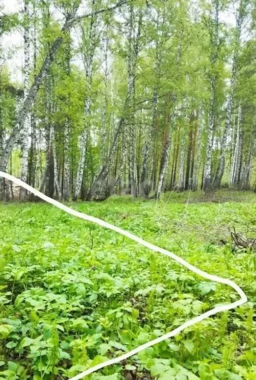 Участок в посёлок Синий Утёс, микрорайон Крутоярский (15 м) - Фото 0
