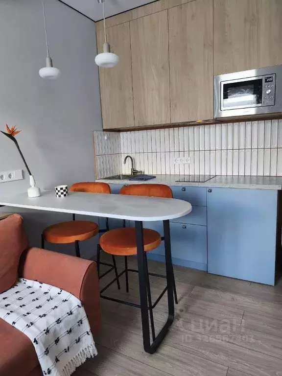 Студия Москва Березовая аллея, 19к4 (25.0 м) - Фото 2