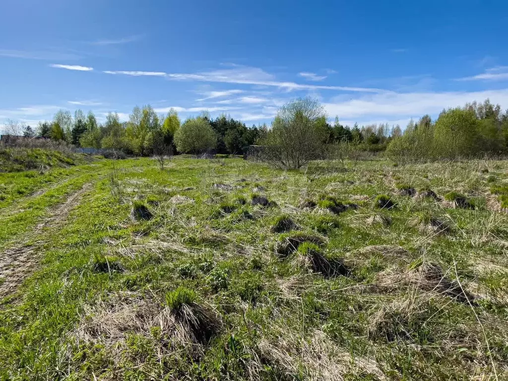 Участок в Вологодская область, д. Морино, д. Сопятино  (16.0 сот.) - Фото 1