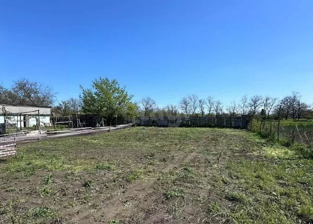 Участок в Краснодарский край, Ейский район, с. Кухаривка Садовая ул. ... - Фото 1