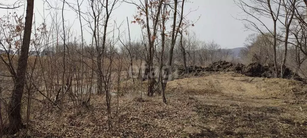 Погода соловей ключ надеждинский на 10. Соловей ключ Приморский край. Озеро Соловей ключ Приморский край. Калипсо Соловей ключ. Соловей ключ фото.