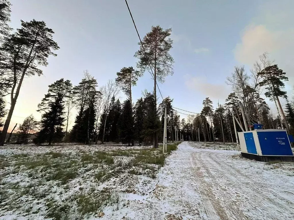 Участок в Московская область, Щелково городской округ, Литвиново ... - Фото 1
