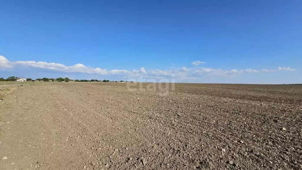 Участок в Крым, Первомайский район, с. Алексеевка  (1079.6 сот.) - Фото 1