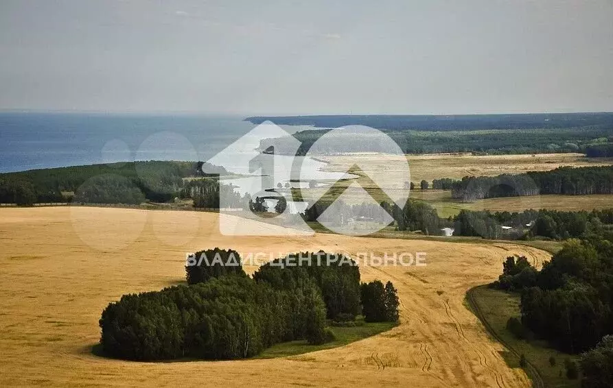 Участок 14,8 га (личное подсобное хозяйство (лпх)) - Фото 1